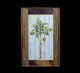 Quadro Bananeira Com Moldura 