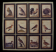 Painel Aves Les Oiseaux