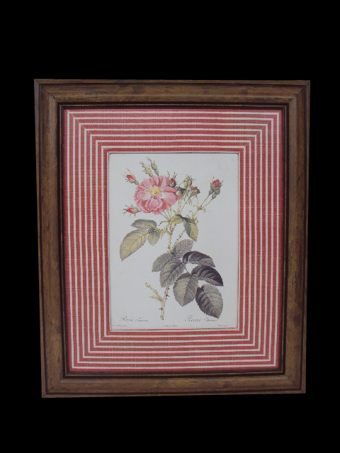 Quadro Rosa Vermelha