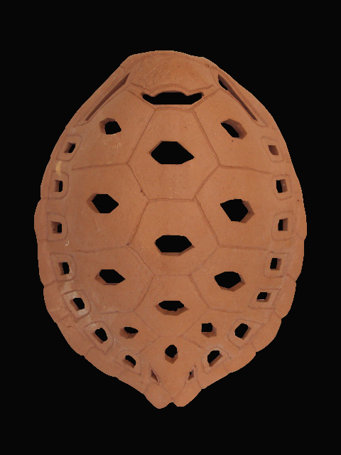 Arandela Casco de Tartaruga