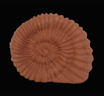 Abajour Prancha