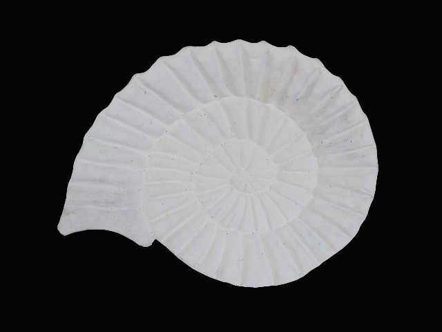 Saboneteira Caracol