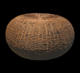 Puff Bombaim