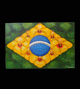 Painel Bandeira Brasil Flor