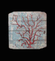 Quadro Coral