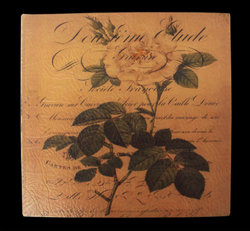Álbum de fotos