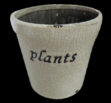 Cachepot Plants