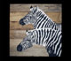 Painel Zebras 