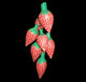 Penca de Frutas ou Vegetais 